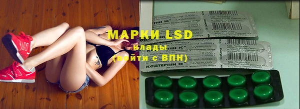 spice Новодвинск