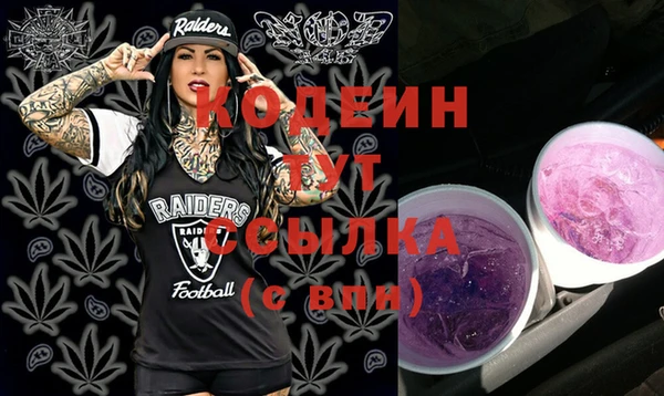 spice Новодвинск