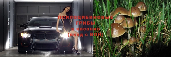 не бодяженный Новокубанск