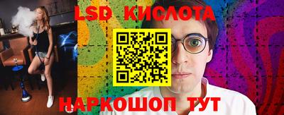 крисы Кандалакша