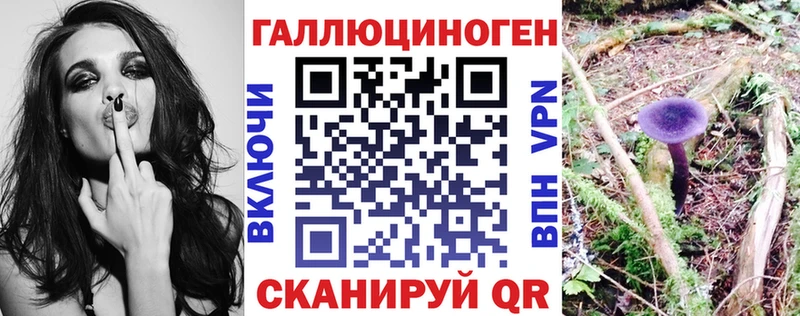 Галлюциногенные грибы MAGIC MUSHROOMS  купить наркотики цена  kraken онион  Улан-Удэ 
