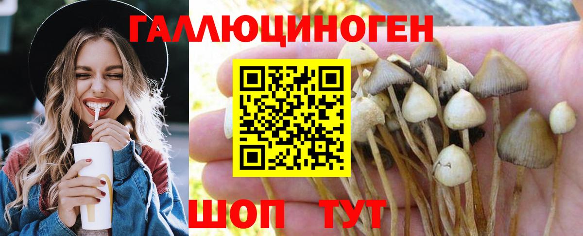 Галлюциногенные грибы MAGIC MUSHROOMS  Псилоцибиновые грибы GOLDEN TEACHER  Вход с VPN  Улан-Удэ 